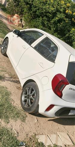 كيا بيكانتو